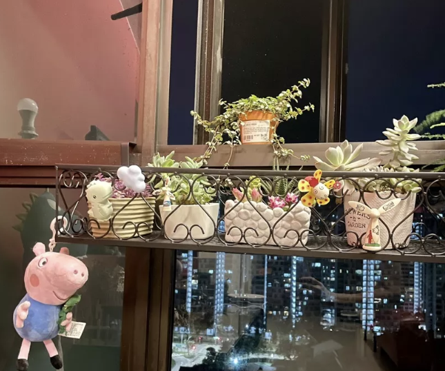 Balcony Plant 60cm Hanging Rack - Corridor Flower Pot White Black